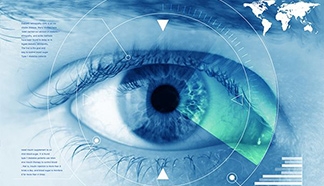 全飛、半飛、準(zhǔn)分子的區(qū)別