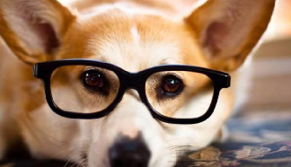 眼科醫(yī)生為什么不做近視手術(shù)？答案來(lái)啦！